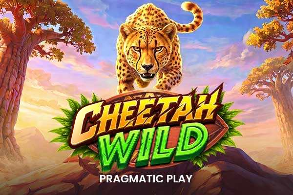 cheetah-wild